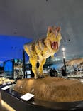 福井県立恐竜博物館に投稿された画像（2024/3/28）