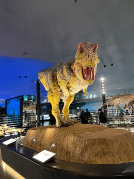 福井県立恐竜博物館に投稿された画像（2024/3/28）