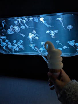 AOAO SAPPOROに投稿された画像（2024/3/28）