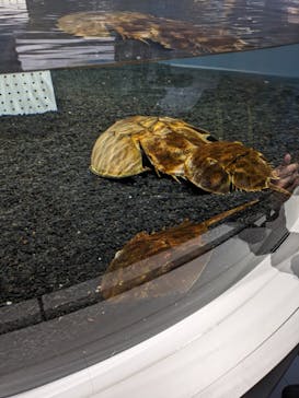 AOAO SAPPOROに投稿された画像（2024/3/28）