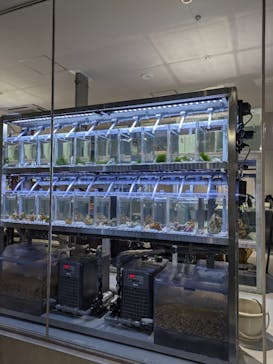 AOAO SAPPOROに投稿された画像（2024/3/28）