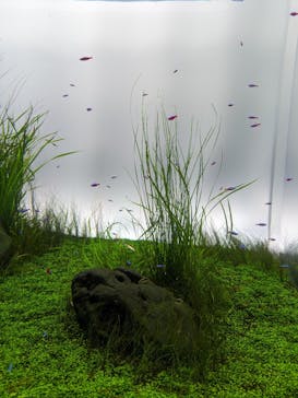 AOAO SAPPOROに投稿された画像（2024/3/28）