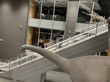 福井県立恐竜博物館に投稿された画像（2024/3/28）