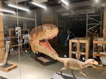 福井県立恐竜博物館に投稿された画像（2024/3/28）