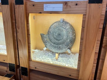 福井県立恐竜博物館に投稿された画像（2024/3/28）