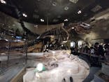 国立科学博物館に投稿された画像（2024/3/28）