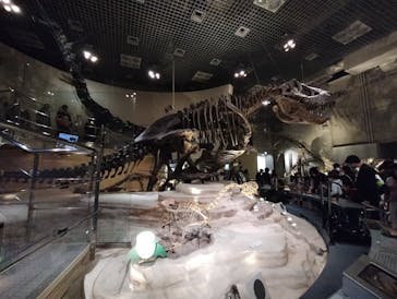 国立科学博物館に投稿された画像（2024/3/28）