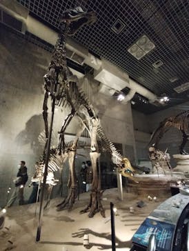 国立科学博物館に投稿された画像（2024/3/28）