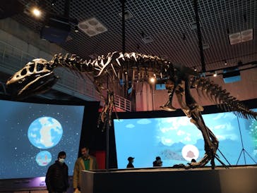 国立科学博物館に投稿された画像（2024/3/28）
