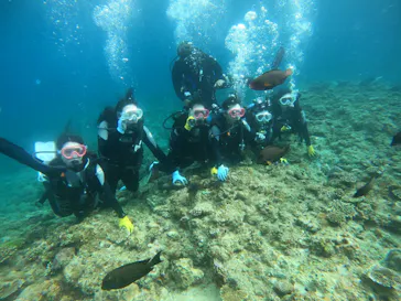 武藤潜水に投稿された画像（2024/3/28）