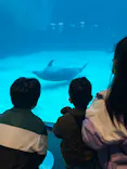 名古屋港水族館に投稿された画像（2024/3/28）