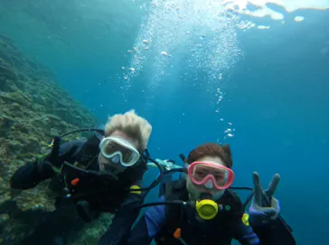 武藤潜水に投稿された画像（2024/3/28）