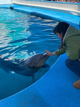 南知多ビーチランド＆南知多おもちゃ王国に投稿された画像（2024/3/28）