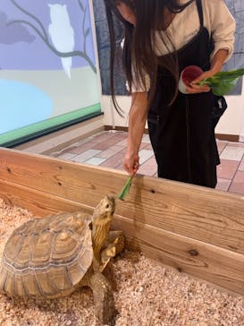 いきもの探検隊湘南に投稿された画像（2024/3/28）