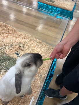 いきもの探検隊湘南に投稿された画像（2024/3/28）