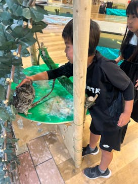 いきもの探検隊湘南に投稿された画像（2024/3/28）