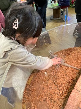 NARA KINGYO MUSEUMに投稿された画像（2024/3/28）