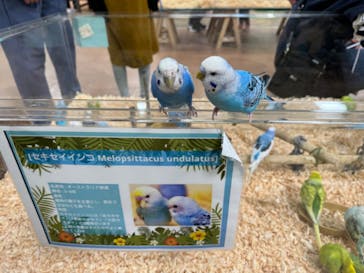 いきもの探検隊上尾に投稿された画像（2024/3/28）