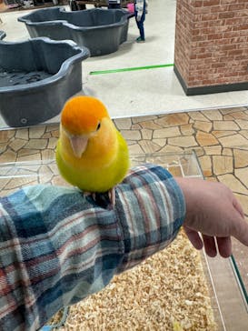 いきもの探検隊上尾に投稿された画像（2024/3/28）