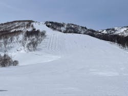 一般社団法人湯沢町観光まちづくり機構に投稿された画像（2024/3/28）