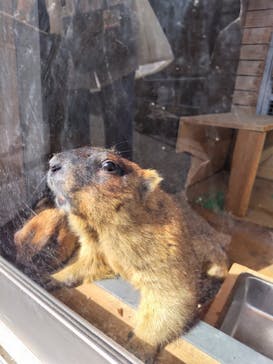 伊豆シャボテン動物公園に投稿された画像（2024/3/28）
