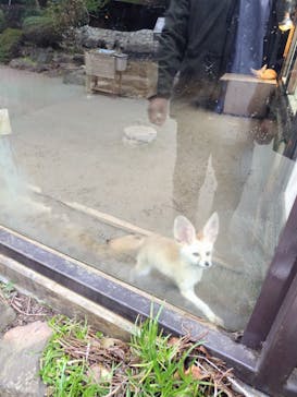 伊豆シャボテン動物公園に投稿された画像（2024/3/28）