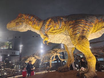福井県立恐竜博物館に投稿された画像（2024/3/28）