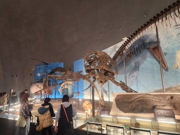 福井県立恐竜博物館に投稿された画像（2024/3/28）