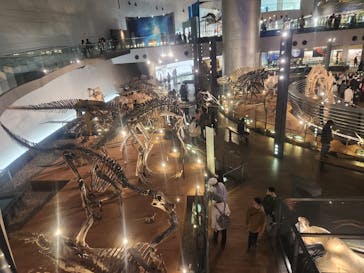 福井県立恐竜博物館に投稿された画像（2024/3/28）