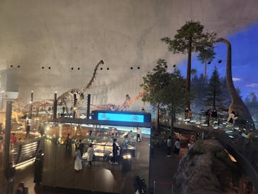 福井県立恐竜博物館に投稿された画像（2024/3/28）
