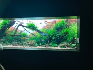 AOAO SAPPOROに投稿された画像（2024/3/28）