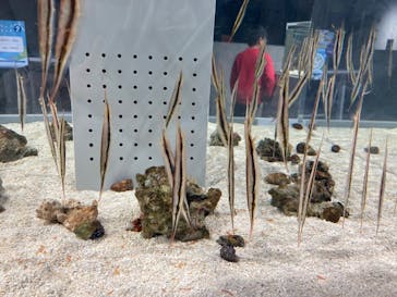 AOAO SAPPOROに投稿された画像（2024/3/28）