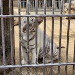 宇都宮動物園に投稿された画像（2024/3/28）