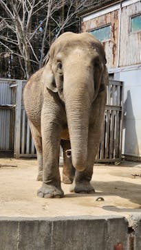 宇都宮動物園に投稿された画像（2024/3/28）