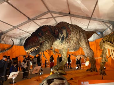 オダイバ恐竜博覧会2024 -福井から“ヤツラ”が新幹線でやってくる！-に投稿された画像（2024/3/28）
