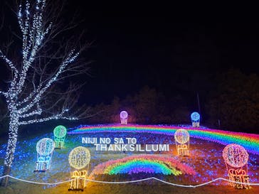 修善寺虹の郷に投稿された画像（2024/3/28）