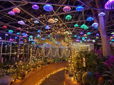 修善寺虹の郷に投稿された画像（2024/3/28）