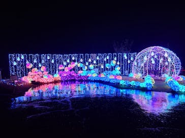 修善寺虹の郷に投稿された画像（2024/3/28）