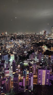 東京タワーに投稿された画像（2024/3/28）