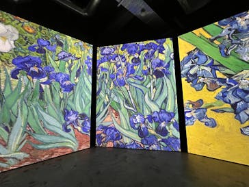 ゴッホ・アライブに投稿された画像（2024/3/28）