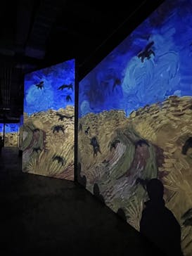 ゴッホ・アライブに投稿された画像（2024/3/28）