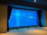 沖縄美ら海水族館に投稿された画像（2024/3/28）