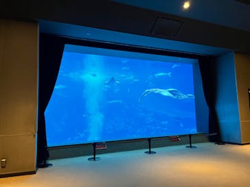 沖縄美ら海水族館に投稿された画像（2024/3/28）