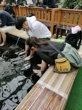 神戸どうぶつ王国に投稿された画像（2024/3/28）