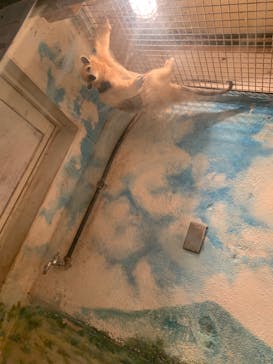 伊豆シャボテン動物公園に投稿された画像（2024/3/20）