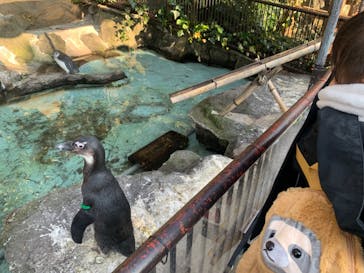 伊豆シャボテン動物公園に投稿された画像（2024/3/20）