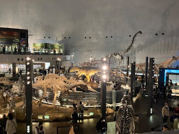 福井県立恐竜博物館に投稿された画像（2024/3/28）