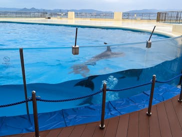 マリンワールド海の中道に投稿された画像（2024/3/28）