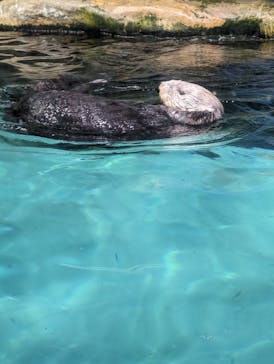 マリンワールド海の中道に投稿された画像（2024/3/28）