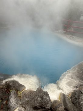 べっぷ地獄めぐりに投稿された画像（2024/3/28）